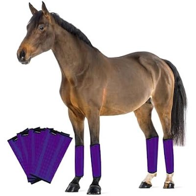 SHOOFLY Horse Leggings for fly protection at The Animal Kingdom"