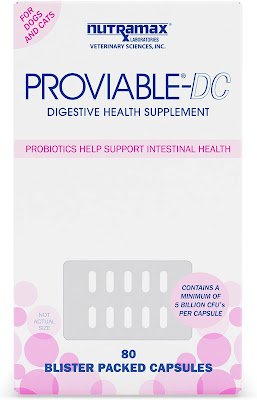 The Animal Kingdom: Proviable-DC Digestive Health Supplement for Dogs