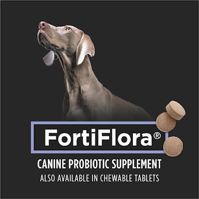 The Animal Kingdom: Purina FortiFlora Probiotics for Dogs