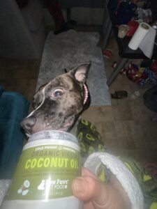 Raw Paws Virgin Organic Coconut Oil for dogs and cats, natural pet care products from The Animal Kingdom