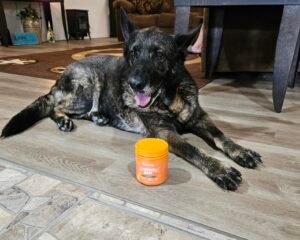 The Animal Kingdom: Zesty Paws Probiotic Treats for Dogs