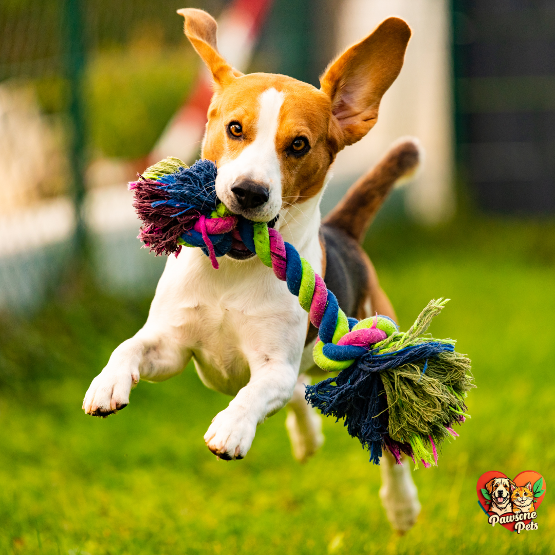 Rugged dog toys designed for powerful chewers, featuring durable materials and long-lasting fun