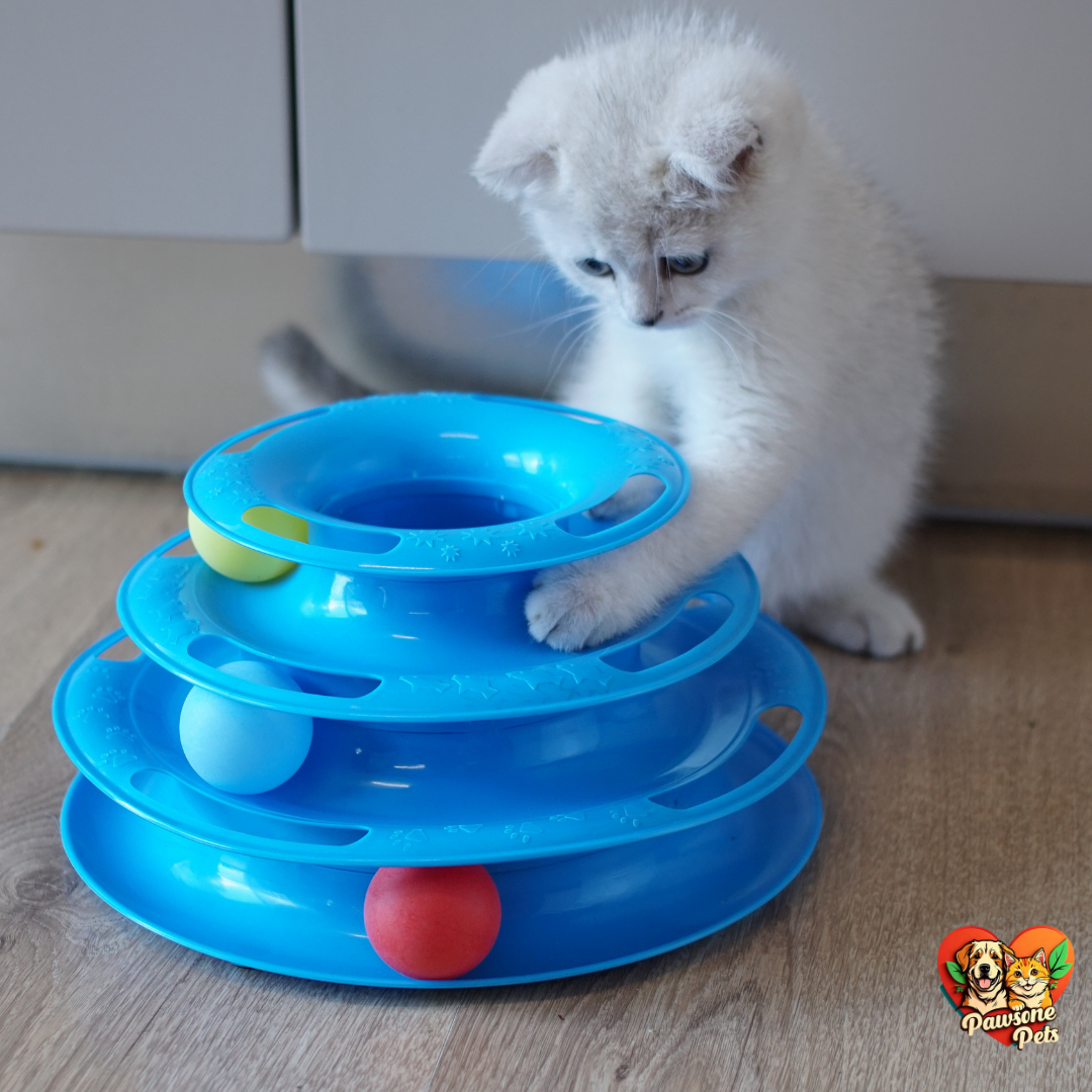 Top 10 Cat Toys for Active Playtime - Expert Recommendations: Feline Fun and Games