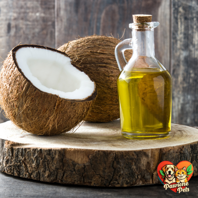 Coconut oil benefits for dogs, Animal Kingdom's natural pet care