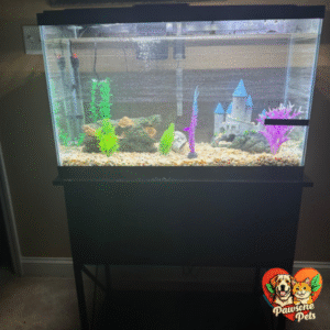 Tetra Complete 29-gallon aquarium in use at home, filled with healthy fish and plants