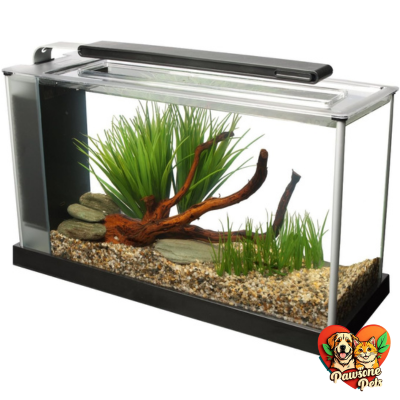 Fluval Spec aquarium kit with sleek design, perfect for small spaces and aquatic enthusiasts
