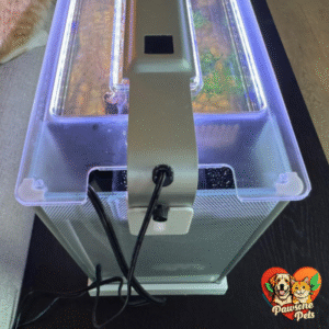 Fluval Spec aquarium kit with modern design and aquatic life