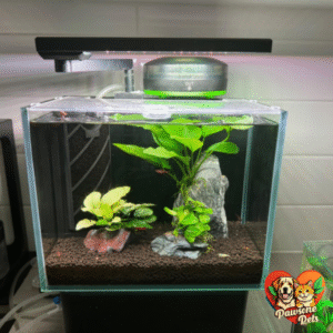 Aquatop Venti aquarium with fish and aquatic plants