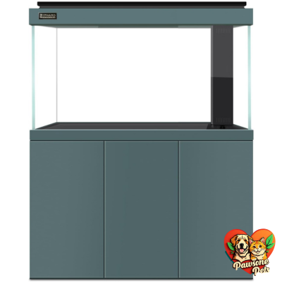 Lyphard 110-gallon all-in-one aquarium with vibrant fish and plants