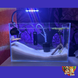 Lyphard 110-gallon aquarium in a home living space with fish and plants