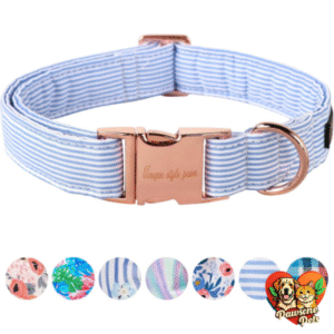 Unique Style Paws Dog Collar - Blue Stripe Collar with Metal Buckle
