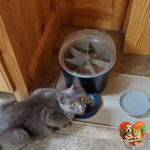 PetSafe 6-meal automatic pet feeder at home, providing scheduled meals and ease for pet owners