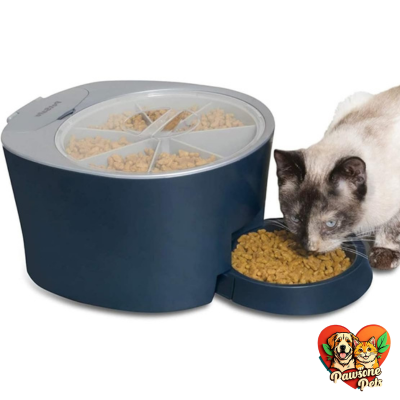 PetSafe 6-meal automatic pet feeder, providing scheduled meals and convenience for pet owners
