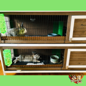 PawHut 2-Story Rabbit Hutch for Home Use