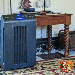 Winix True HEPA 4-in-1 Air Purifier for a healthier home environment