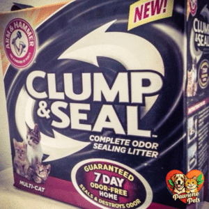 Arm & Hammer Clump & Seal Multi-Cat Litter - The Perfect Solution for Your Home