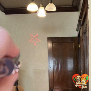 Bring the Fun Home - Cowjag Laser Pointer Cat Toy for Indoor Play