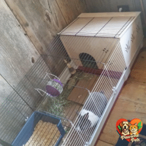 Krolik Rabbit Cage with Metal Enlargement for Home - Spacious Pet Housing