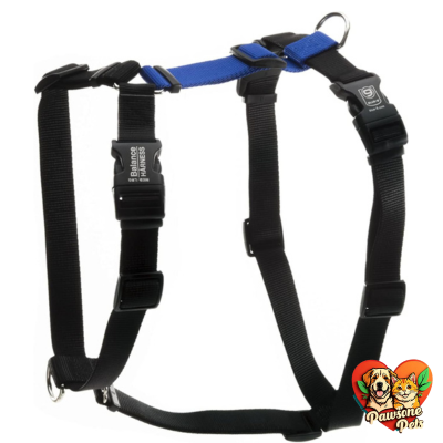 Blue-9 Buckle-Neck Balance Harness for Dog Training and Obedience