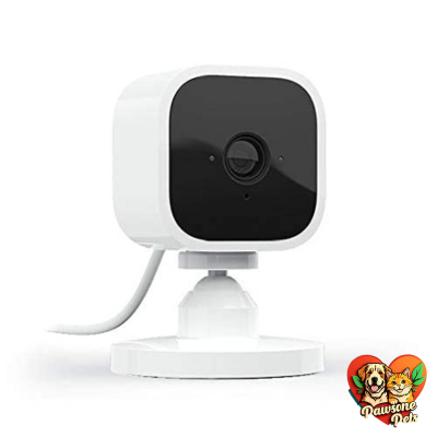 Blink Mini Wi-Fi Camera for Home Security and Pet Monitoring