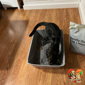 Purina Tidy Cats Naturally Strong Unscented Cat Litter - Natural Odor Control for Your Home