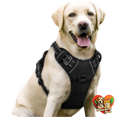 Black rabbitgoo Dog Harness for Large Dogs with No Pull Design