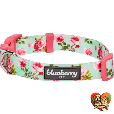 Blueberry Pet Floral Rose Dog Collar - Adjustable X-Small Collar for Small Dogs, Turquoise