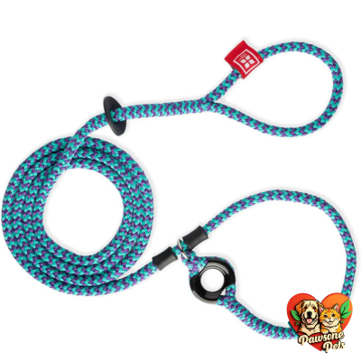 Harness Lead No Pull Dog Harness and Leash Set in Purple/Turquoise
