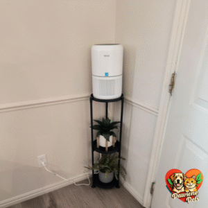Levoit Core 300S Advanced Air Purifier for Cleaner Indoor Air at home