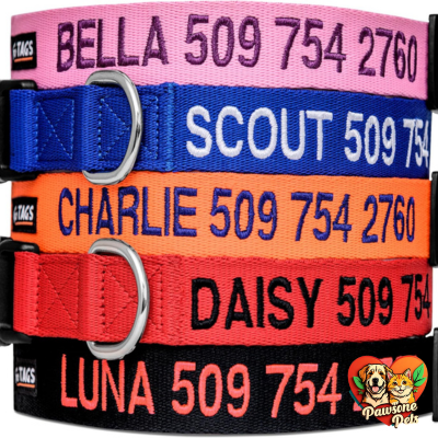 GoTags Personalized Dog Collar - Custom Embroidered with Pet Name and Phone Number