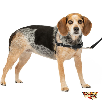 PetSafe Easy Walk No-Pull Dog Harness for Better Leash Manners