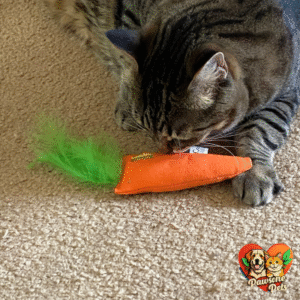 OurPets Home Catnip Carrot Toy - 100% North American Catnip for Indoor Cats