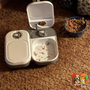 Home Pet Care: Cat Mate C200 2-Meal Automatic Pet Feeder for Cats