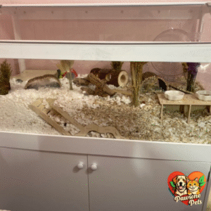 GDLF Hamster Cage for Home Use with Storage Cabinet
