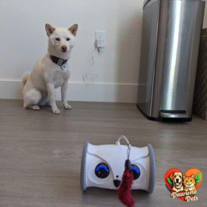 Skymee Robot Companion for Home Use - Pet Entertainment and Monitoring