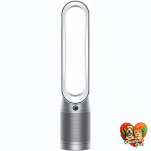 Dyson Cool Air Purifier and Fan for Cleaner Air and Cooling Comfort