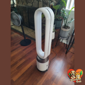 Dyson Cool Air Purifier and Fan for Cleaner Air and Cooling Comfort