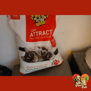 Dr. Elsey's Cat Litter Attractant for a Stress-Free Litter Box Experience at Home