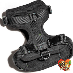 Wild One Dog Harness in Black with 3 Leash Clips for No-Pull Walks