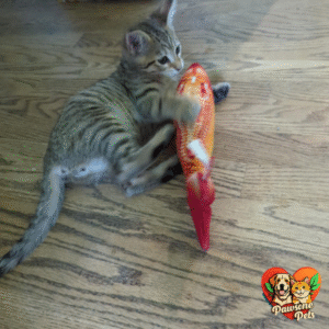 Potaroma Home Flopping Fish Cat Toy - Interactive Motion for Indoor Cats