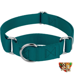 Country Brook Design Martingale Collar for Dogs - Heavy-Duty Nylon, Training Collar