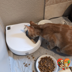 Cat Mate 5-meal automatic pet feeder at home, providing flexible feeding solution for dogs and cats