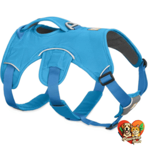 Ruffwear Web Master Dog Harness in Blue Dusk for Hiking and Everyday Wear