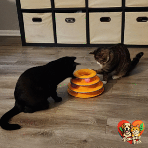 Catstages Home Tower of Tracks 3-Level Interactive Cat Toy for Indoor Play