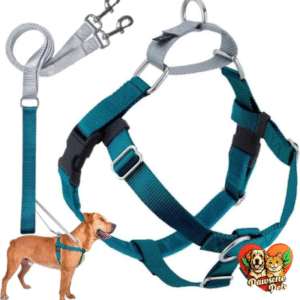 2 Hounds Design Freedom No Pull Dog Harness in Teal - Adjustable & Comfortable