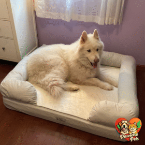 PetFusion Ultimate Indoor Dog Bed - Orthopedic Memory Foam, Comfortable and Supportive