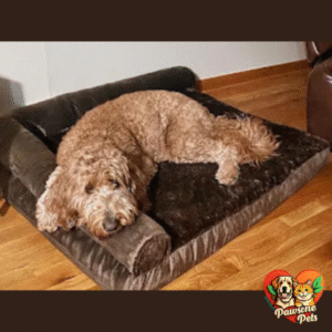 Furhaven Indoor Orthopedic Dog Bed - Two-Tone Plush Faux Fur & Suede L Shaped Chaise, Stone Gray