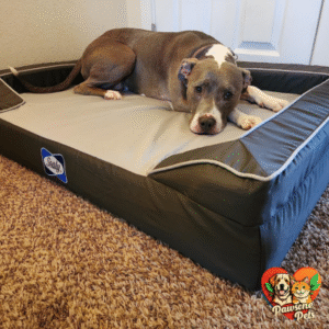 Wag Luxe Indoor Dog Bed - Quad Layer Technology, Memory Foam, Orthopedic Foam, and Cooling Gel, Gray
