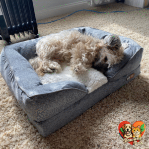 K&H Pet Products Indoor Pillow-Top Orthopedic Dog Bed - Classy Gray, Small