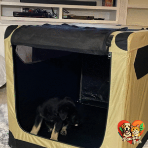Amazon Basics Soft-Sided Indoor Dog Crate - Medium Size, Tan